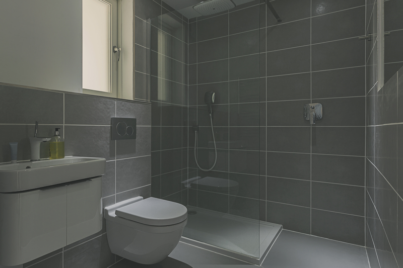 Shot of a Modern Shower Room